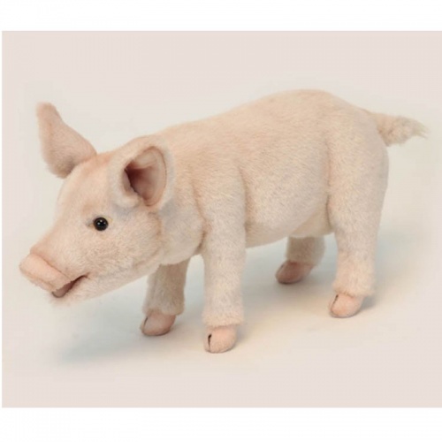 Realistic Piglet Standing Soft Toy by Hansa